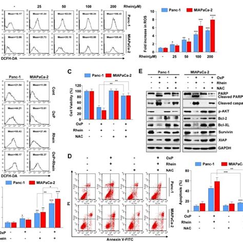 Ros Generation Is Critically Involved In Apoptosis Induced By The