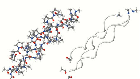 Collagene Di Tipo Ii Idrolizzato O Collagene Di Tipo Ii Nativo Non Denaturato Che Differenza