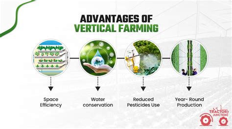 What Is Vertical Farming Explore Vertical Agriculture Farming In Details