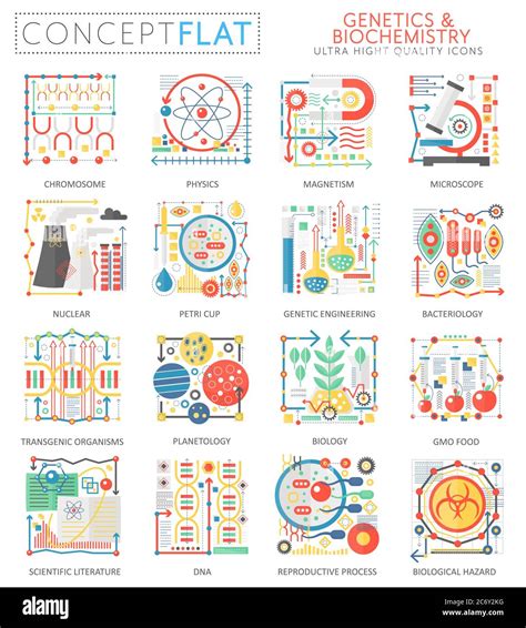 Infographics mini concept Genetics biochemistry icons for web. Premium ...