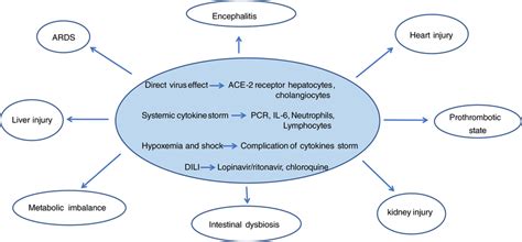 Pathogenetic Mechanism Of SARSCoV 2 Infection And Multiorgan