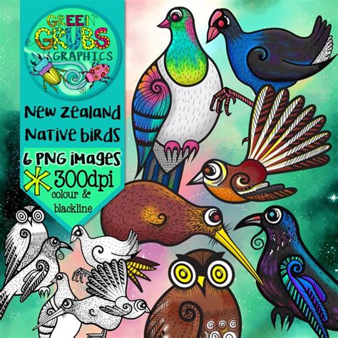 New Zealand Native Bird Clip Art Nz Art Clip Art New Zealand