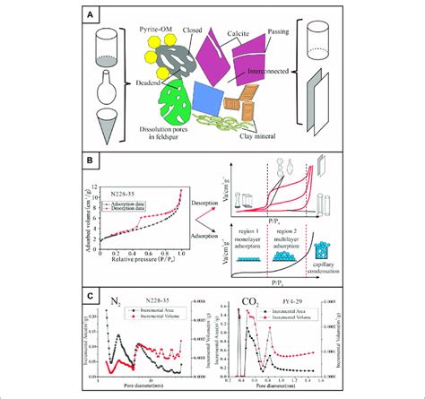 A Pore Morphology Of The Organic Matter And Different Minerals In