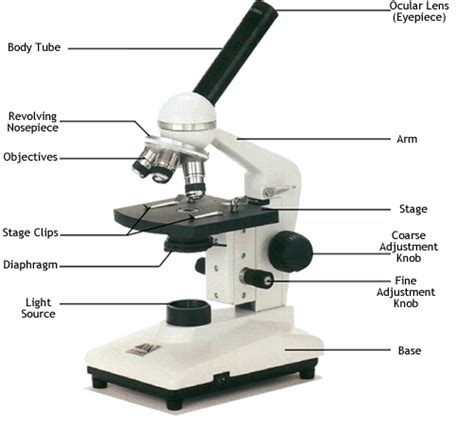 microscope labeled cweaver : Biological Science Picture Directory ...