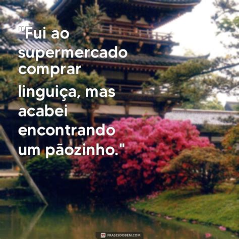 Frases De Duplo Sentido - 10