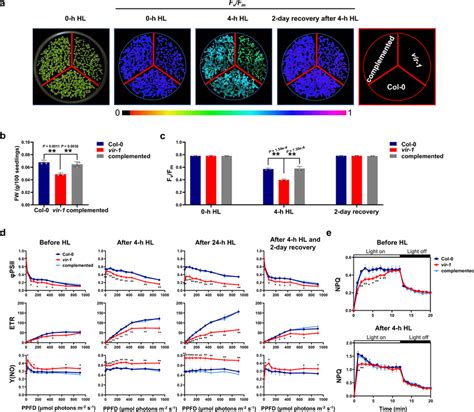 Characterization Of Photosynthetic Activity In Col 0 And Vir 1