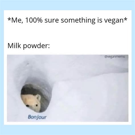 16 Relatable Funny Vegan Memes To Share Vegnews