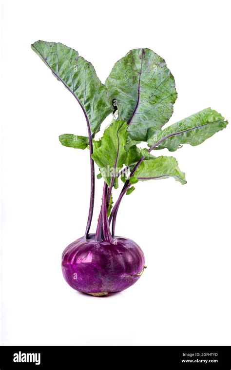 Fresh Red Kohlrabi Isolated On White Background Healthy Food Stock