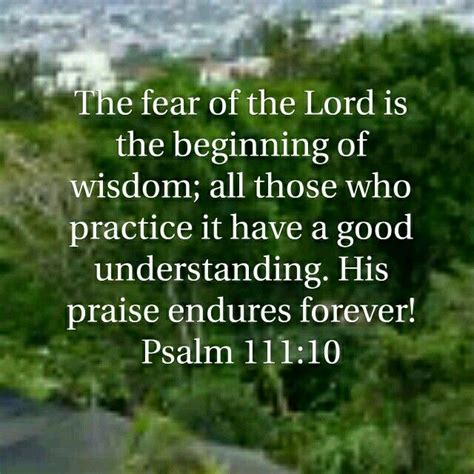 The Fear Of The Lord Is The Beginning Of Wisdom Scripture Quotes