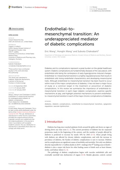 PDF Endothelial To Mesenchymal Transition An Underappreciated