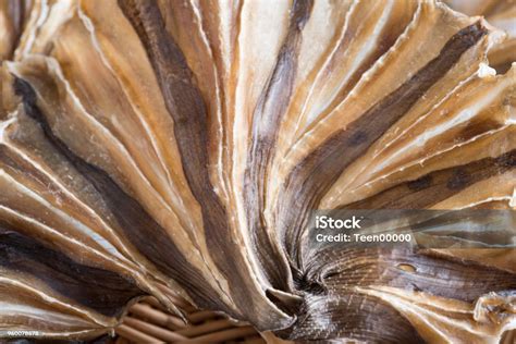 Raw Dried Sundried Stingray Radiating Circular Fish Stock Photo