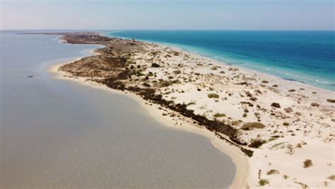 Libya's idyllic Farwa Island at risk of ecological peril