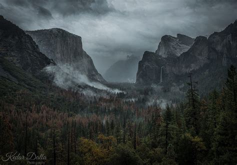 Горы скалы лес Множество фото treepics ru