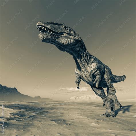 Giganotosaurus Is Walking On Sunset Desert Stock Illustration Adobe Stock