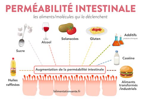 Est Ce Que La Banane Est Bonne Pour L Intestin Planetefemmes