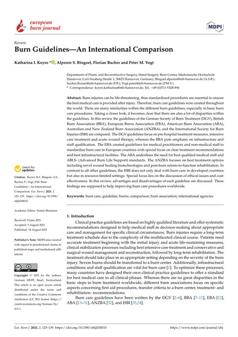 PDF Burn GuidelinesAn International Comparison