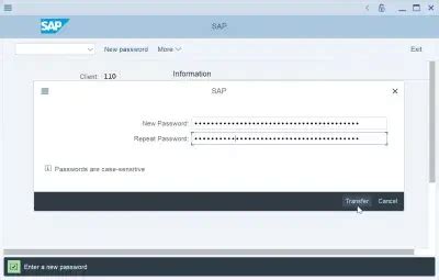 Wie Kann Ich Das Sap Passwort Zur Cksetzen Und Ndern