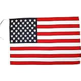 Fahne Flagge USA 30 X 45 Cm Amazon De Garten