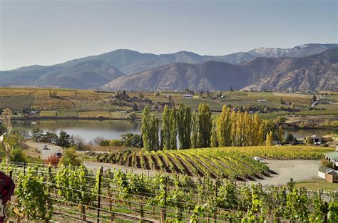 Bountiful Farms To Visit In Lake Chelan Mountain View Lodge And Resort