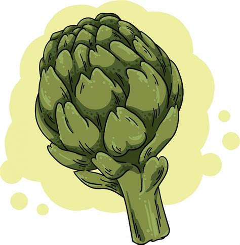 Premium Vector Vector Illustration Artichokes