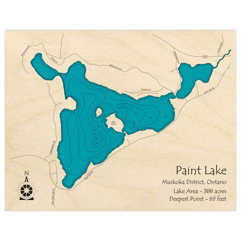 Paint Lake 3d Custom Wood Map Lake Art Llc