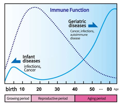 Immune System Function