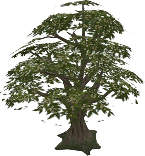 Hawthorn Tree The Runescape Wiki