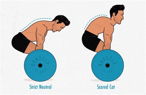 Deadlift Muscles Worked Diagram