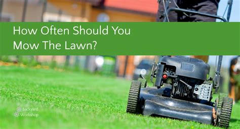 How Often Should You Mow The Lawn Here S Our Cut Backyardworkshop