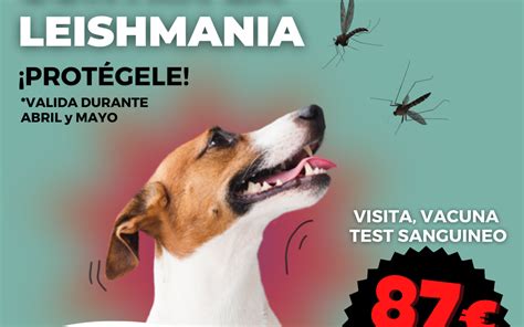 Campa A Vacuna Leishmaniosis Hospital Veterinaria Del Mar