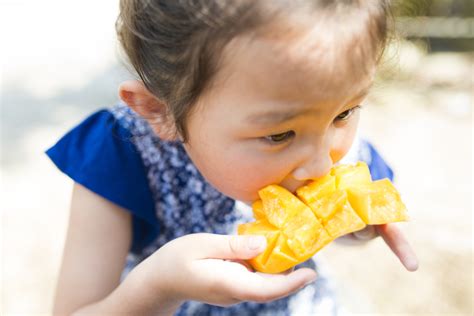 Para Qu Sirve La Hoja De Mango Huerto En Casa