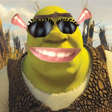 Cursed Shrek Ibispaint