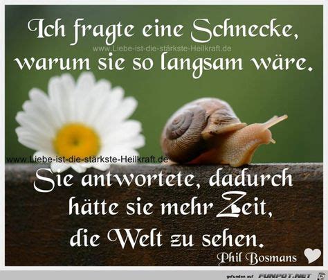 9 Schnecke Ideen sprüche sprüche zitate weisheiten