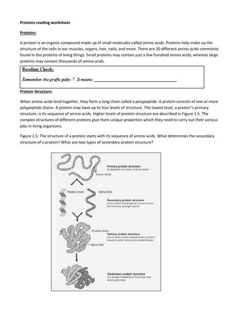 Protein Worksheets