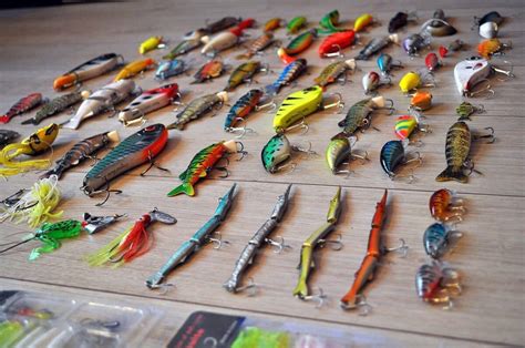 Best Lures For Brackish Water Review Fanatics For Fishing