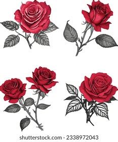 Watercolor Red Roses Bouquet Illustration Hand Stock Vector Royalty