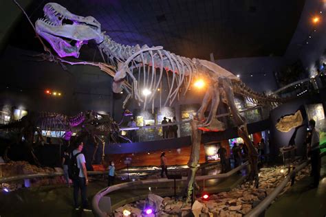 Museo Del Desierto Coahuila A Os De Retos Historia Y Paleontolog A