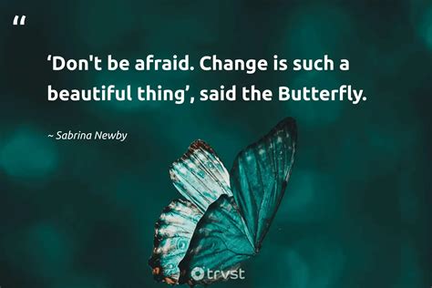 Beautiful Butterfly Quotes Inspiring Appreciation