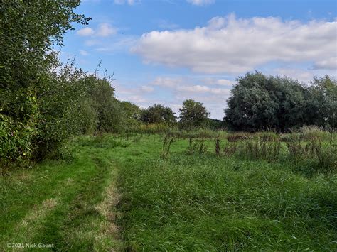 Sylvan Nature Reserve - Harrogate & District Naturalists Society