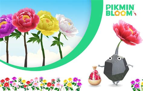 Pikmin Bloom tutte le novità in arrivo a giugno 2024 Animal