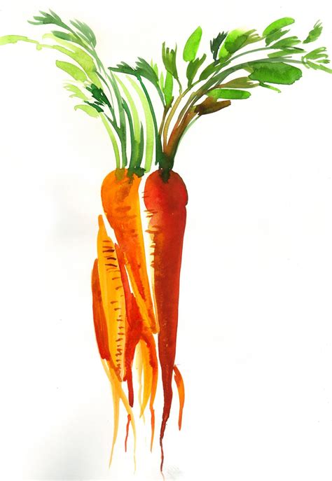 Premium Photo | Bunch of carrots. watercolor painting