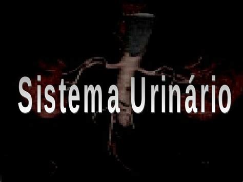 Sistema Urinario Laura María uDocz