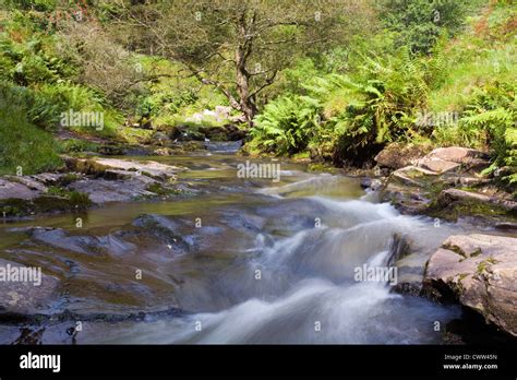 Blaen Y Glyn Waterfalls Brecon Beacons Wales Uk Stock Photo Alamy