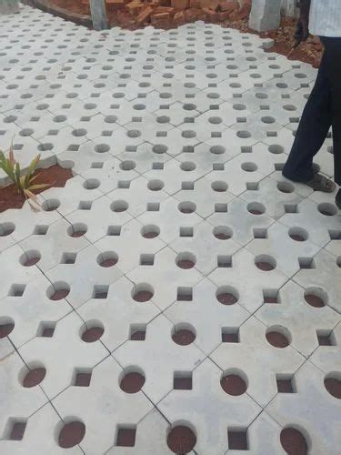 Outdoor Grass Concrete Paver Block Size X X Mm At Rs Sq