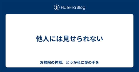 他人には見せられない お掃除の神様、どうか私に愛の手を