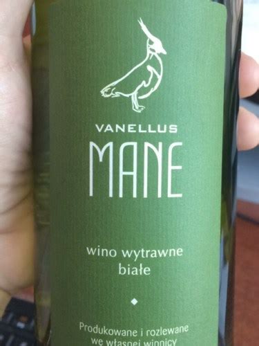 Winnica Vanellus Mane Vivino Australia