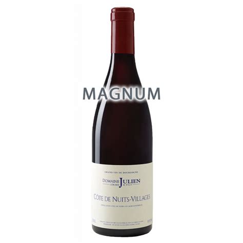 Domaine Gérard Julien Fils Côte de Nuits Villages 2020 Magnum