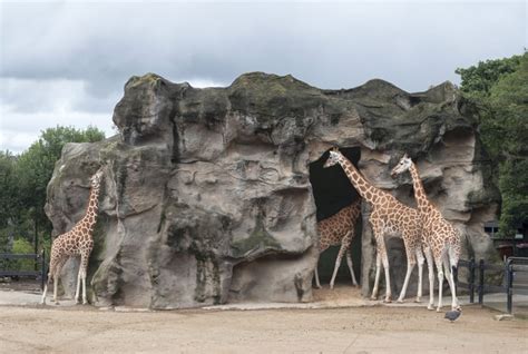 Taronga Zoo, Sydney - Location, Travel information