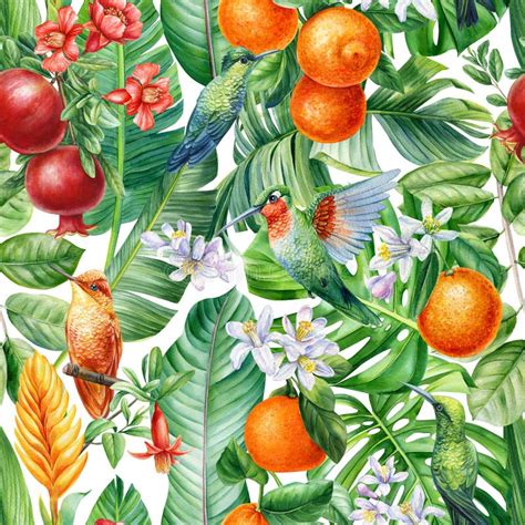 Hummingbird Leaves Fruit And Flowers Tropical Background Watercolor