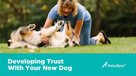 New Dog Owners Guide Tips For First Time Dog And Puppy Owners